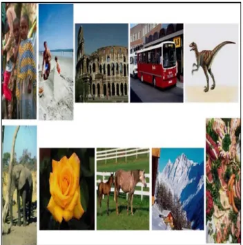 Figure 3:  Considered 10 classes of Corel database from  top left to bottom right African, Sea shore, Tombs, Bus, 