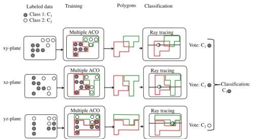 Fig. 6 Overview of training and classification for PolyACO+ with several features