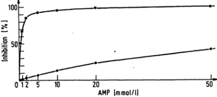 Tab. 1. Percentage increase of activity of purified human creatine kinase-MM by different SH-reagents (final  con-centration in the assay solution 10 mmol/1)