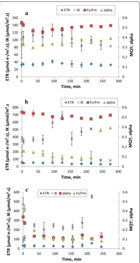 Fig. 6 Effect of temperature at 38 °C (a), at 10 °C (b) and high irradiance (1600 µmol/m2 s) (c) on different photosynthetic parameters of the WT1 Chlorella sp