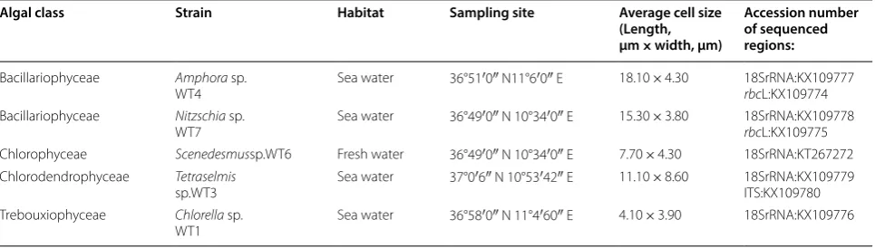 Table 1 Sampling site description and characterization of isolated microalgae strains