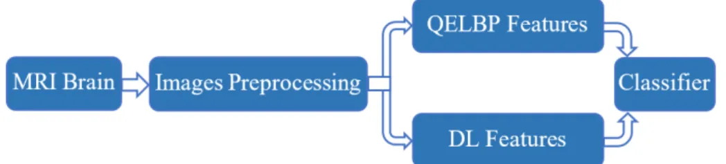 Figure 1. Proposed quantum entropy local binary patterns (QELBP)–deep-learning (DL) model
