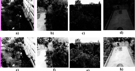 Figure 3. Reports couple of FA based image enhancement results 