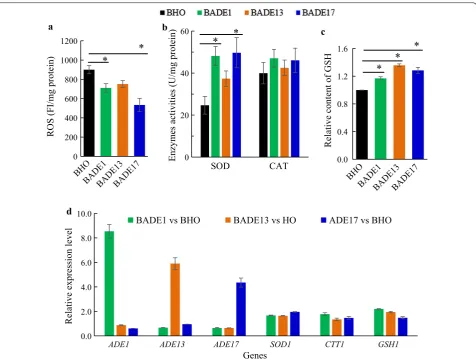 Fig. 3 Influence of the ADE genes overexpression on ROS response and expression of key genes under acetic acid condition
