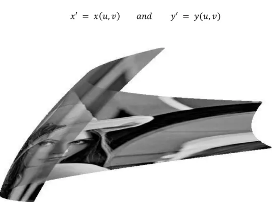 Figure 4.1. Forward warped image. 