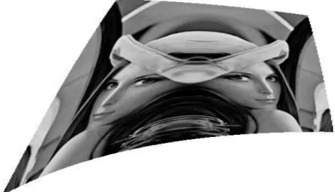 Figure 4.2. Inverse warped image. 