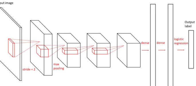 Figure 1.1: An example Convolutional Neural Network (CNN). The input of CNN is a color image and the its output is the probability of each label