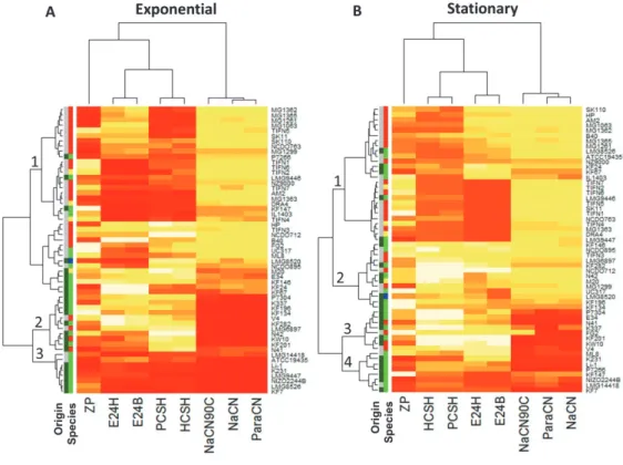 Figure 3. Heat map of surface properties of 55 Lactococcus lactis strains: Cell charge (ZP),  hydrophobicity measured with petroleum (PCSH) or hexane (HSCH), emulsion stability  measured after 24 h (E24B –measured with Petroleum or E24H – measured with Hex