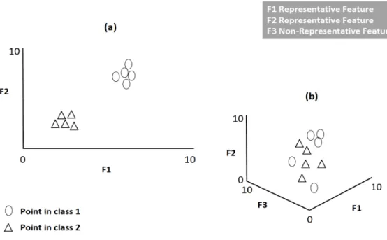 Figure 3.1: Impact of non-representative features in classification accuracy