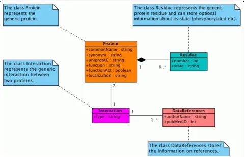 Figure 1 Class diagram of the protein-protein interaction model