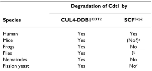 Table 1: Cdt1 degradation directed by CUL4-DDB1CDT2 and SCFSkp2 in different species.