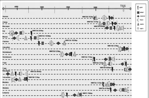 Table 1 The p-values of the TF families identified in theregulatory module