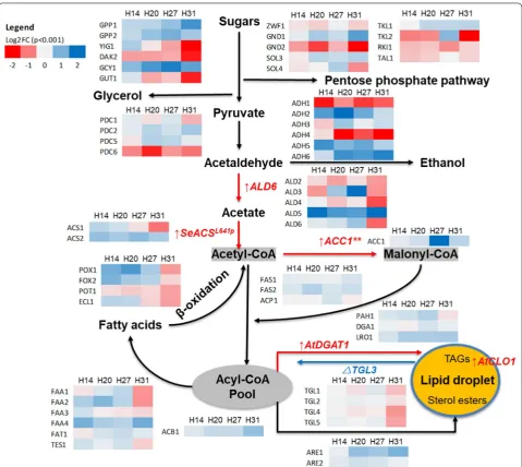 Fig. 3 Overview of transcriptional reprogramming of the H-series strains H14, 20, 27, and 31 at 24 h post-induction of gene expression