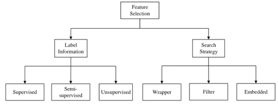 Fig. 1. Feature selection category