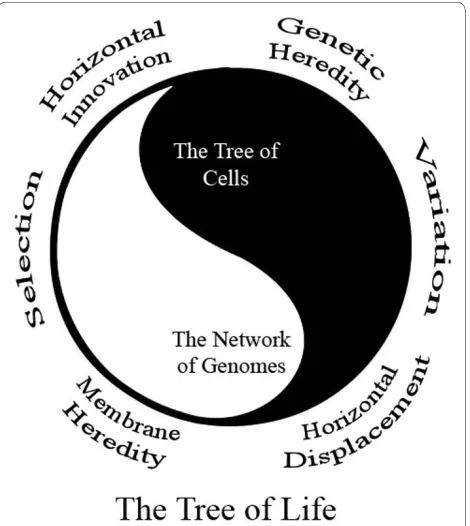 Figure 2 The yin and yang of evolution. Several key dualities in evo-lution are better understood when they are viewed as complements to each other under the framework of the classic symbol of yin and yang
