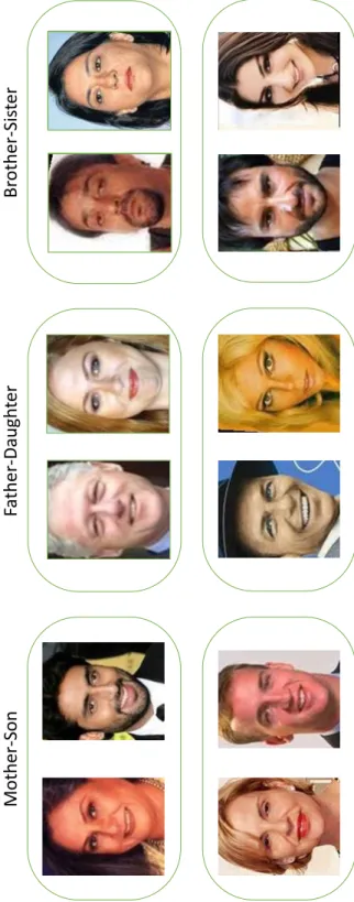 Figure 1.8: Kin pairs can have considerable gender variations due to different kin relationships.