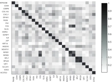Fig. 2.3. The color map displaying the GO-derived prior probabil- probabil-ities on edges