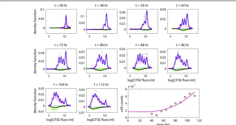 Figure 4 The full model. Experimental data and a fitted branching process: proportions of observations per bin (+) in live cells (positive values)and in dead cells (negative values); the lower right panel shows the estimated cell counts as a function of time.