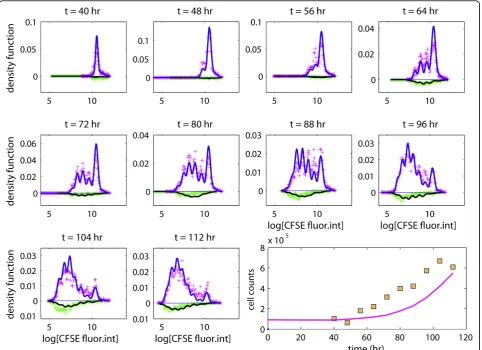 Figure 5 A model where activated cells do not return to a resting phase. Experimental data and a fitted branching process model thatdoes not allow activated cells to return to a resting state
