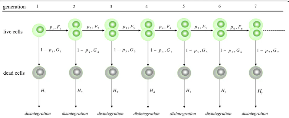 Figure 2 Structure of the general model. Diagram showing the structure of the general branching process model.