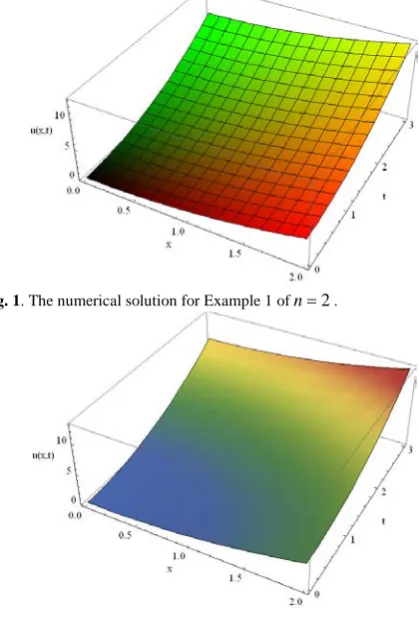 Fig. 1. The numerical solution for Example 1 of