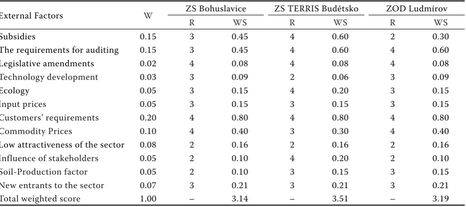 Table 1. EFE Matrix