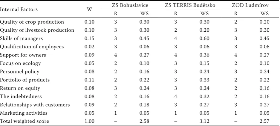 Table 2. IFE matrix