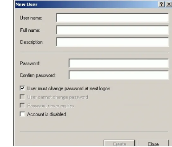 Figure 8. New User dialog: Windows Server.