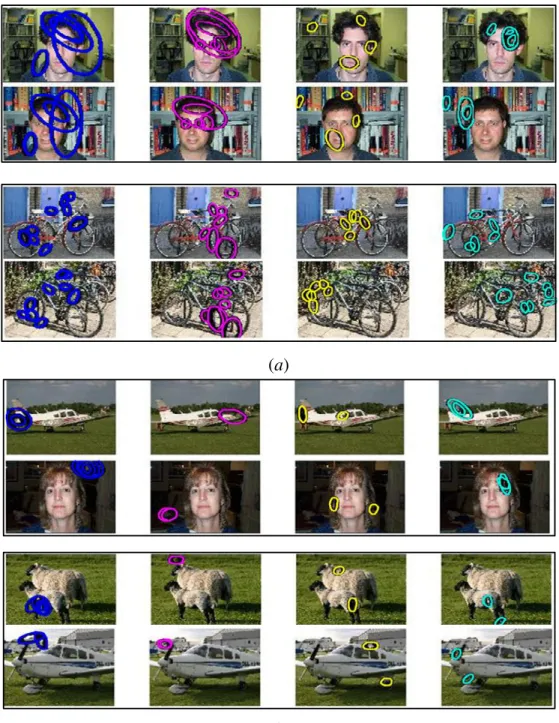 Figure 2.4: Example co-occurring HOFs. For each pair of images, we show the HOF of the four largest order features being detected (from left to right)