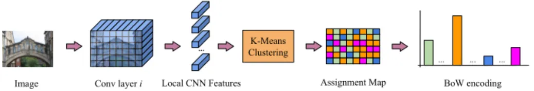 Figure 6. The Bag of Local Convolutional Features pipeline (BLCF).