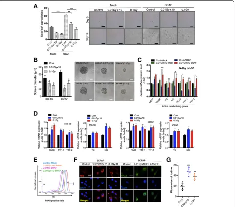 Fig. 2 LDR blocks cellular transformation through upregulating iodine-metabolizing gene expression in BRAF-transformed thyroid cells.formation in 850-5C and BCPAP thyroid cancer cells after fractionated (0.01Gy × 10) and single dose (0.1Gy) of LDR.iodine m