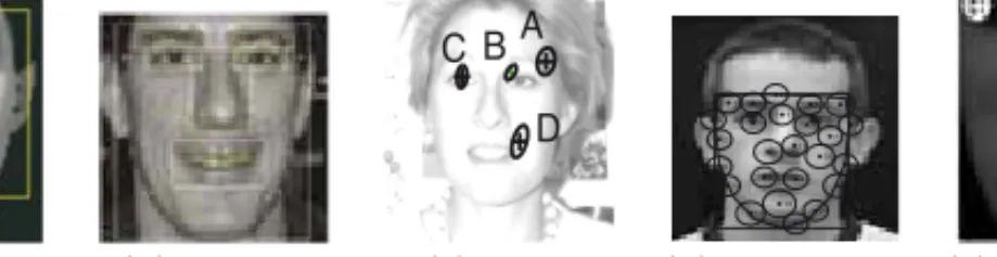 Figure 2.4: Illustrations of part-based face models: (a) 14 rectangular components [Heisele et al., 2001b], (b) 6 rectangular components [Xu et al., 2008], (c) 4 aﬃne invariant regions [Weber, 2000], (d) tracked features [Walker et al., 1999], (c) 10 featu