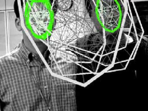 Figure 3.5: Exemplary results of geometry classiﬁcation: For each object hypothesis, a mesh in model coordinates is projected according to the least-squares estimates of scale, rotation, and translation