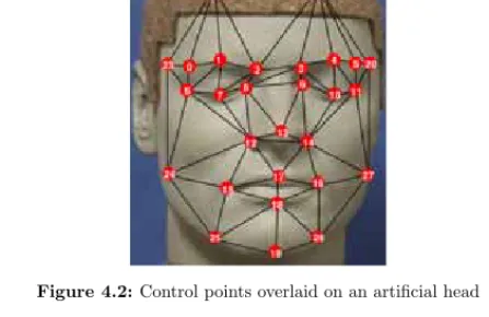 Figure 4.2: Control points overlaid on an artiﬁcial head