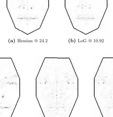 Figure 4.7: Distribution of local feature locations for diﬀerent feature detectors. For compa- compa-rability, the given algorithm-dependent thresholds were chosen to yield an average of 50 locations per face on the BioID database.