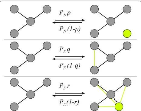 Figure 1 Network growth events and probabilities. Growth (or shrinkage) of network is determined by node, edge, and duplication events with specified probabilities, as described in the text.