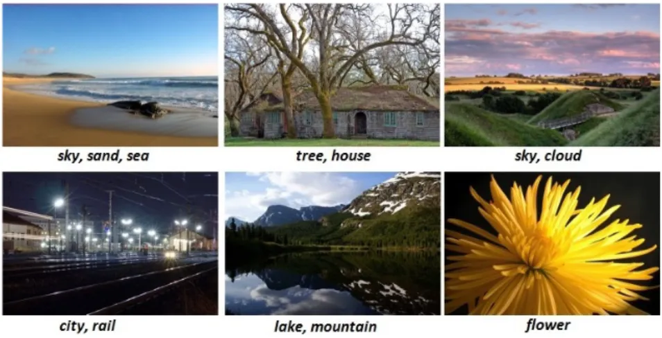 Figure 1.1. Several image examples with tags from MIRFLICKR-1M dataset.