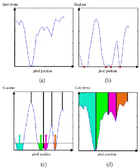 Fig. 3.Figure 3. One dimensional illustration of watershed segmentation principle: a) Grey levels of One dimensional illustration of watershed segmentation