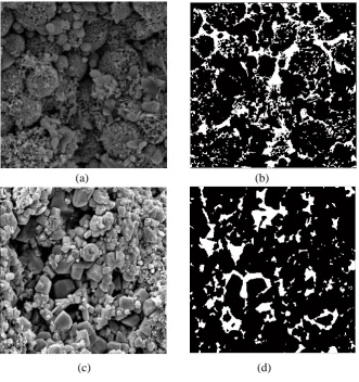 Fig. 10.17  SEM images for samples Sdenote grains.Figure 10. SEM images for samples S