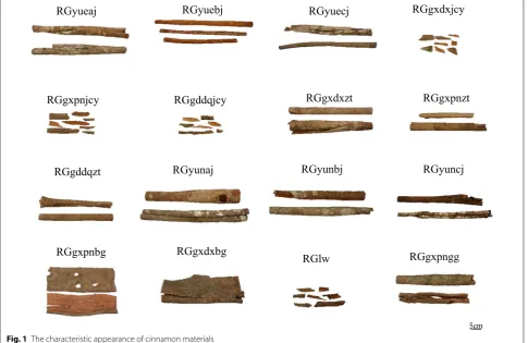 Fig. 2 Microscopic characteristics of the Cinnamomum cassia (RGyueaj). a Observed under the light microscopy