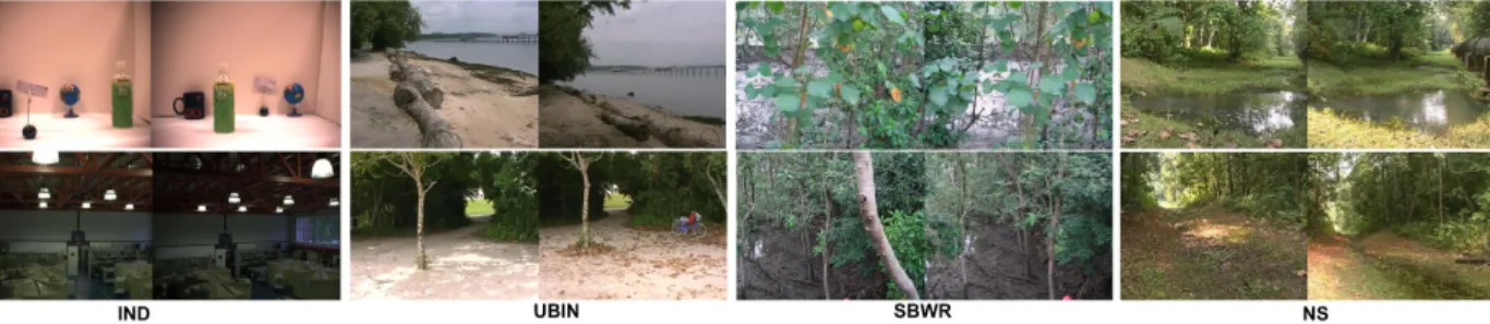 Figure 5. Various challenging test and reference scenes for the four databases. IND: ambiguous scenes(t) and viewpoint changes(b)