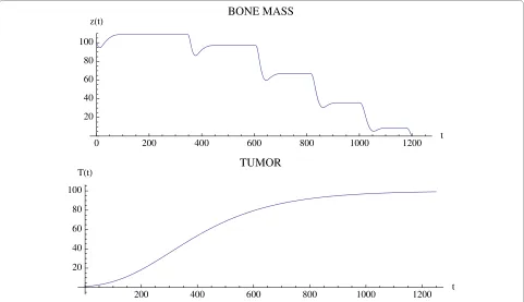 Figure 5 Bone mass and tumor response to the oscillations in Fig. 4. System of equations (7): The bone mass converges with oscillations to 0.0 and the tumor converges to maximum capacity LT