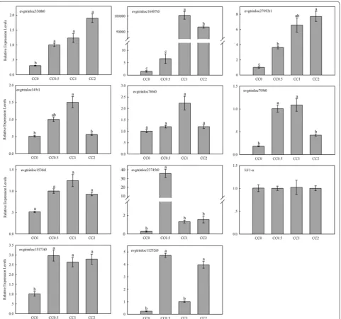 Fig. 4 Quantitative real-time polymerase chain reaction (qRT-PCR) analysis of the expression of ten candidate genes in the intestine of Cyrtotrachelus buqueti at different time points after feeding