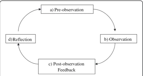 Figure 1 Peer Observation Process (Bell 2002, [8]).
