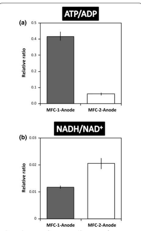 Fig. 6 Relative ratios of microbial cells growing on MFC anodes (MFC-1-anode, black bars; MFC-2-anode, white bars)
