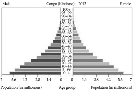 Figure 6. Population pyramid