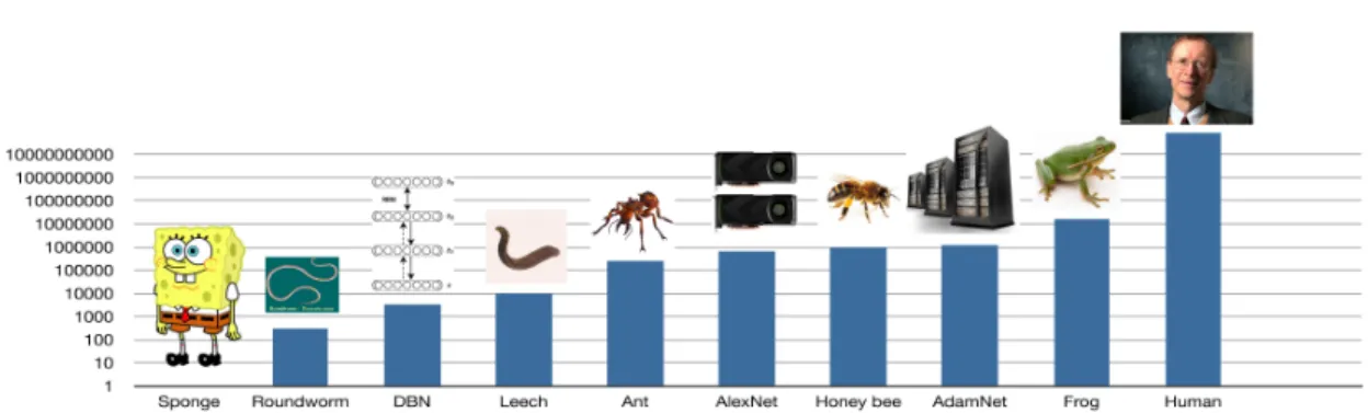 Figure 3.1 – Number of neurons in animals and machine learning models: In the context of a machine learning model, a “neuron” refers to a hidden unit, which may in fact represent a considerably simpler functional unit than a biological neuron