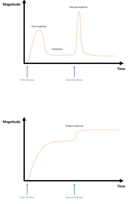 Fig. 2. Extinction in immunological memory.  