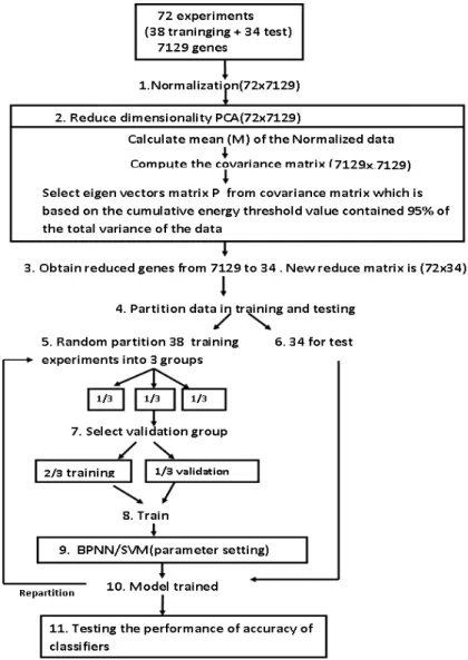 Figure 3.4: Schematic illustration of the proposed method for Leukemia cancer data