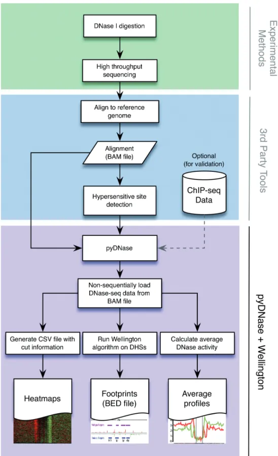 Figure 6. The pyDNase Python package forms a complete toolchain for the rapid analysis and footprinting of DNase-seq data
